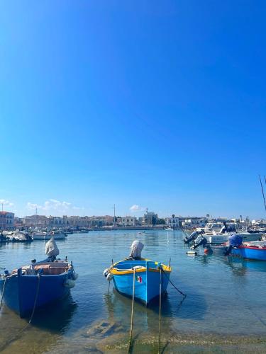 a group of boats are docked in the water at Orchidea in Bari