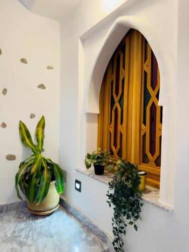 Imagen de la galería de Dar MD, en Chefchaouen