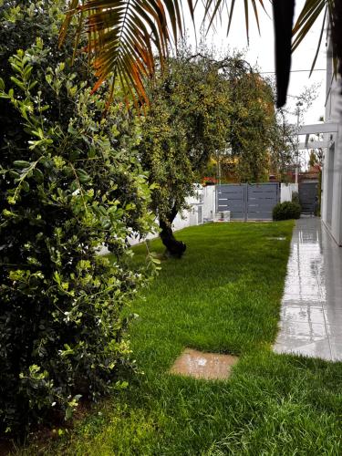 a yard with green grass and trees and a sidewalk at Alexander B&B in Tortolì