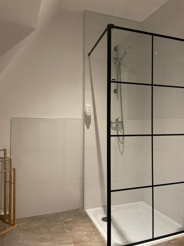 a shower with a glass door in a bathroom at Vintage Hotel Köln Pulheim - Kostenlose Parkplätze in Pulheim