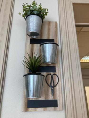 a wall with three potted plants and a pair of scissors at Gîte d'Avalon Appartement 5 in Dinant
