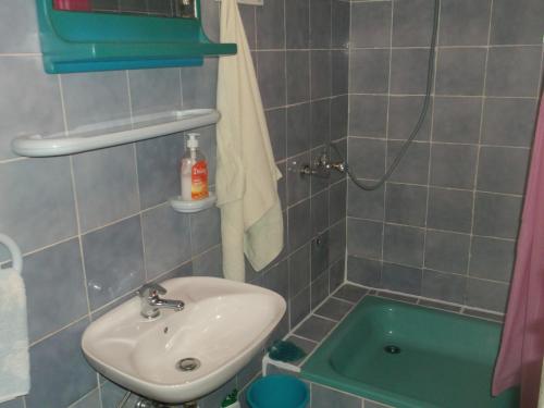 Koupelna v ubytování apartmani srecko