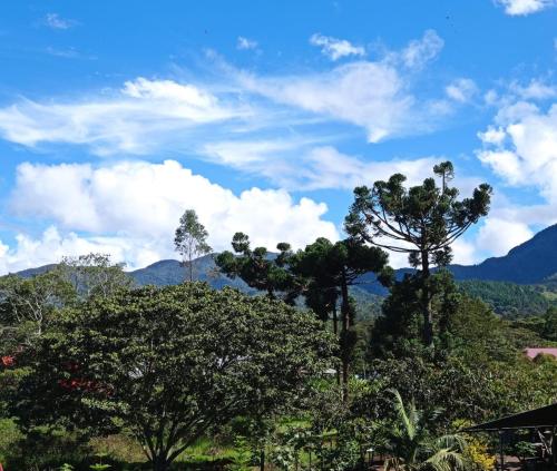 uma vista para árvores e montanhas com um céu azul em Habitaciones en Miraflores Oxapampa em Oxapampa