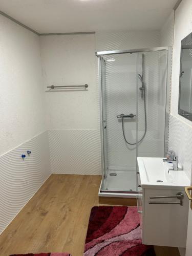 een badkamer met een douche en een wastafel bij Ferienwohnung Kotsch in Engen
