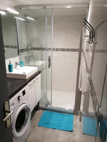 une salle de bain avec douche et machine à laver dans l'établissement FERME MARINE T2, à Bretignolles-sur-Mer