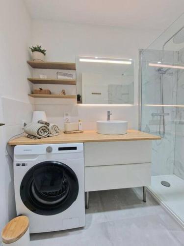une salle de bain avec une machine à laver et un lavabo dans l'établissement Appartement cosy à 5 min des plages, à Hyères
