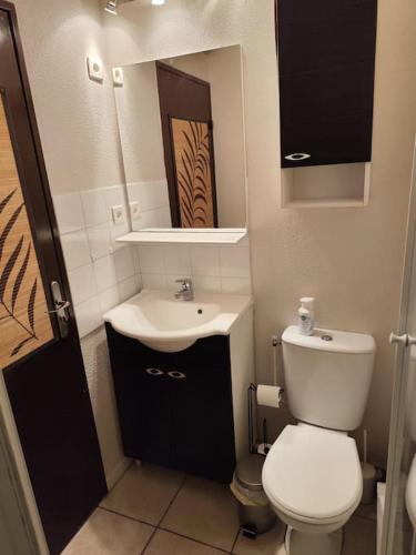une petite salle de bain avec toilettes et lavabo dans l'établissement Studio Cabine Ile des pêcheurs, au Cap d'Agde