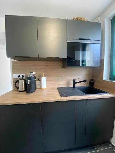 une cuisine avec un comptoir avec un évier et un micro-ondes dans l'établissement Gîte l Ainstant à 2 pas de la rivière, proche CNPE et A42, à Neuville-sur-Ain