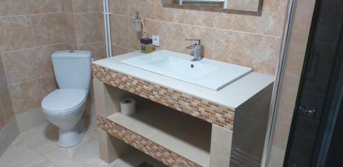 a bathroom with a sink and a toilet at Vila Flory Voronet in Voronet