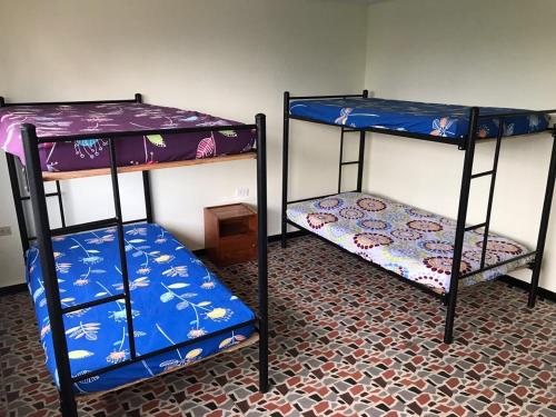 Bunk bed o mga bunk bed sa kuwarto sa TCH Capsule Home
