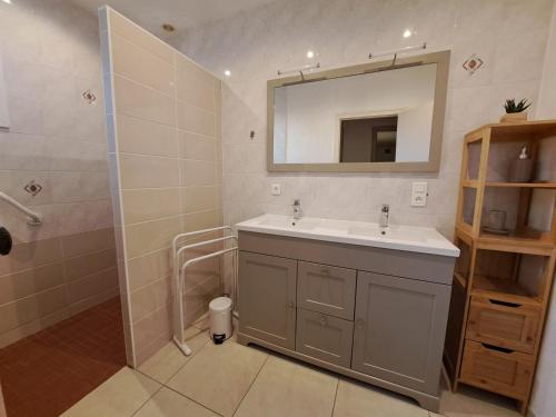 un bagno con lavandino e specchio di Gîte de La Sapinière à 15 min du Puy du Fou a La Pommeraie-sur-Sèvre