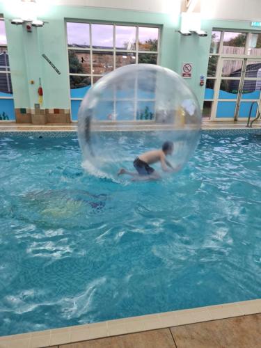 a boy in a ball in the water in a pool at Stacey's Homely Haven in Cresswell