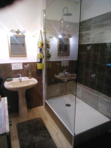 une salle de bain avec douche et lavabo dans l'établissement Les chambres de Sophie, à Chalabre