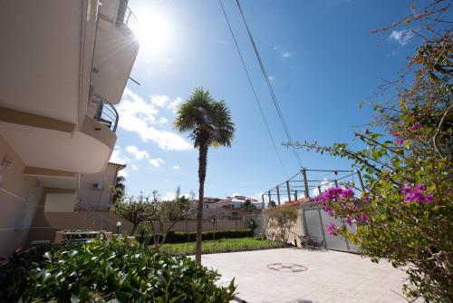 palma przed budynkiem w obiekcie VILA PALMA we Wlorze