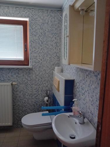 Bilik mandi di Dolenjska vila