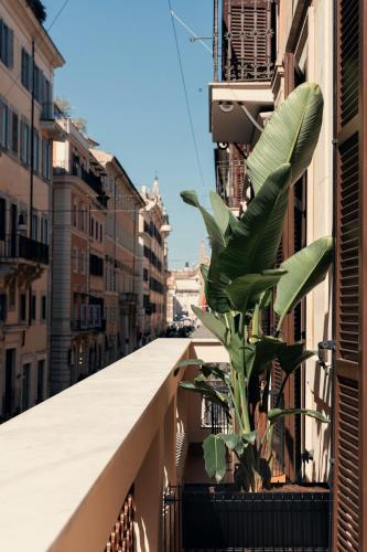 a plant on the balcony of a building at The Flow - Via Del Corso in Rome
