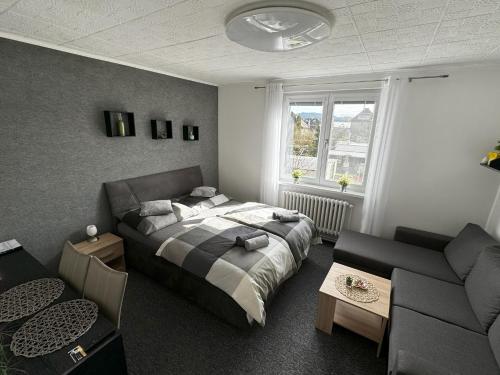 a bedroom with a bed and a couch at Apartmány Karlovy Vary in Karlovy Vary