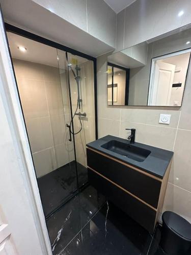 a bathroom with a sink and a shower at Appartement 2 in Dunkerque