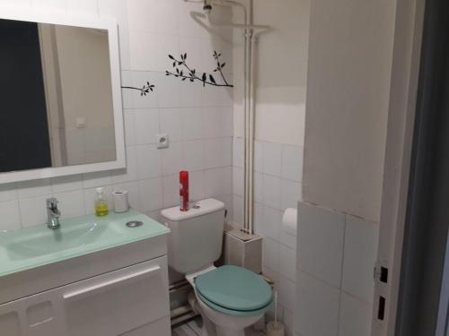 a bathroom with a toilet and a sink and a mirror at Appartement Lyon 7 Gerland in Lyon