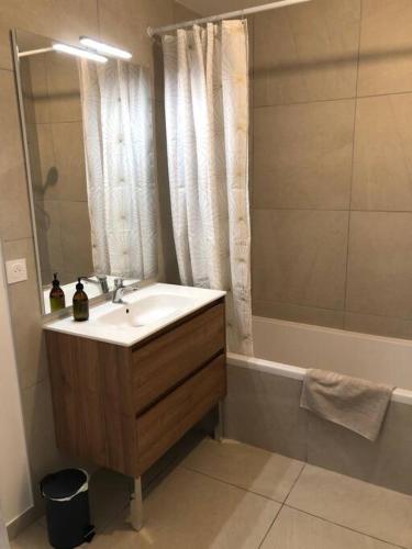 une salle de bain avec un lavabo et une douche dans l'établissement T2 - 1 ch - Garage privé - Balcon - 15 min du lac, à Annecy