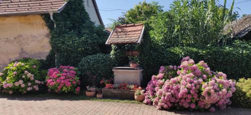 Φωτογραφία από το άλμπουμ του Korona Panzió σε Balatonberény