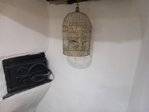a bird cage hanging from a wall with a book at Rural Cornish farmhouse in Liskeard