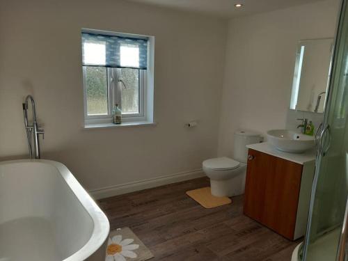 baño con lavabo y aseo y ventana en Secluded Cornish farmhouse, en Liskeard