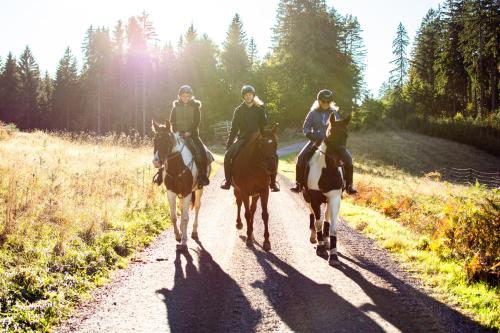 un grupo de gente montando caballos por un camino de tierra en Kroneggerhof en Altmelon