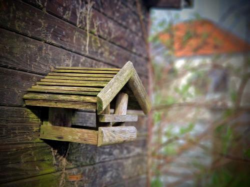 a bird house on the side of a wall at Haus Fabjerg in Lemvig