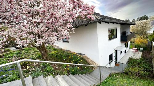 uma casa branca com uma árvore com flores cor-de-rosa em Gemütliche Ferienwohnung am Kurpark em Bad Camberg
