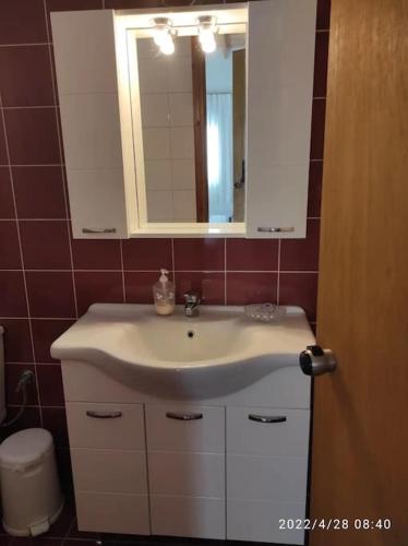 a bathroom with a white sink and a mirror at Garden Ηouse 3 in Plomari