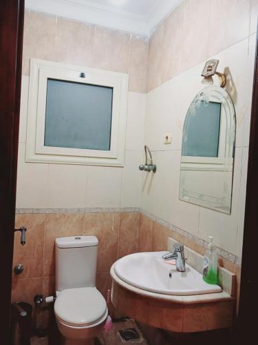 bagno con servizi igienici, lavandino e specchio di بيراميدز رووف a Giza