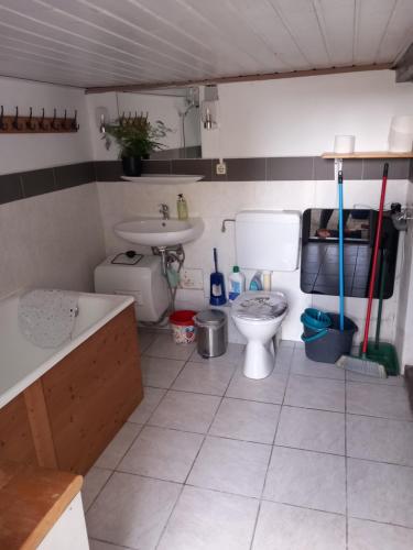 a bathroom with a toilet and a sink at Hexen Haus in Burghaslach