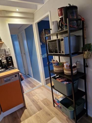 a kitchen with a shelf with a microwave on it at Hilton house in Lemmer