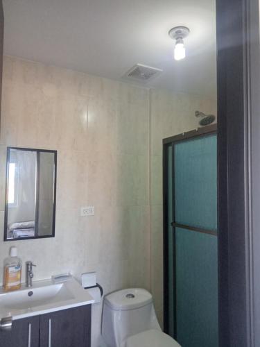 a bathroom with a toilet and a sink and a mirror at Ph olas tower in Palo Grande