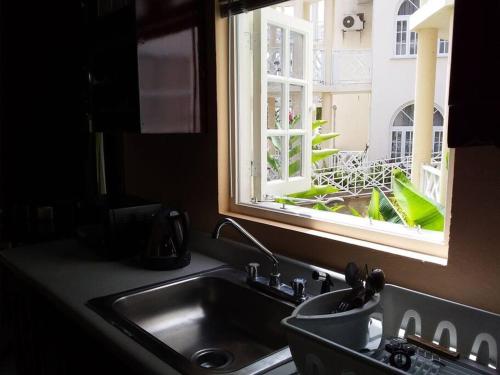 a sink in a kitchen with a window at Refreshed Modern Country Feel Apartment in Ocho Rios