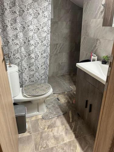 a bathroom with a toilet and a sink at Elena s apartment in Megara