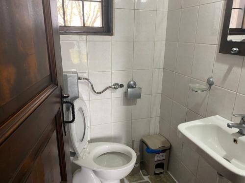 a small bathroom with a toilet and a sink at Βίλα Θαλεια in Káto Lekhónia