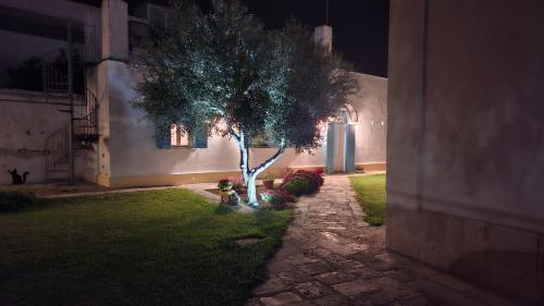 Κήπος έξω από το Villino Tronchetto Bianco