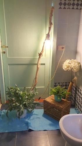 une salle de bains avec deux plantes en pot et une porte dans l'établissement Il Tiglio guesthouse, à Montecalvo in Foglia