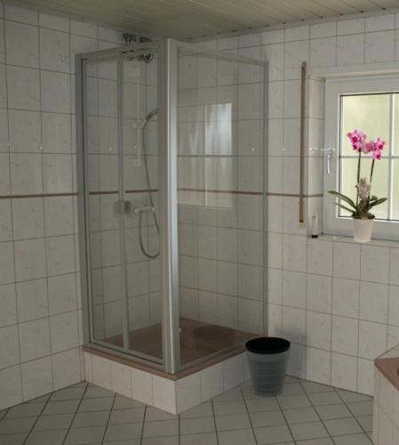 a shower with a glass door in a bathroom at Chefs Gästezimmer in Neupotz