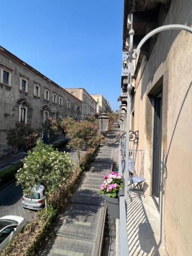 an empty street with flowers on the side of a building at San Giuliano Palace in Catania