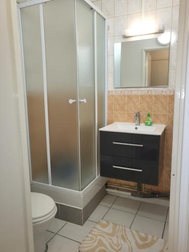 維勒瑞夫的住宿－masar confort，带淋浴、盥洗盆和卫生间的浴室