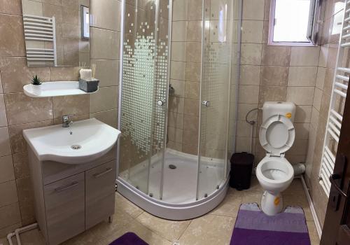 uma casa de banho com um chuveiro, um WC e um lavatório. em Casa Natalia Raisa Arieșeni em Arieşeni