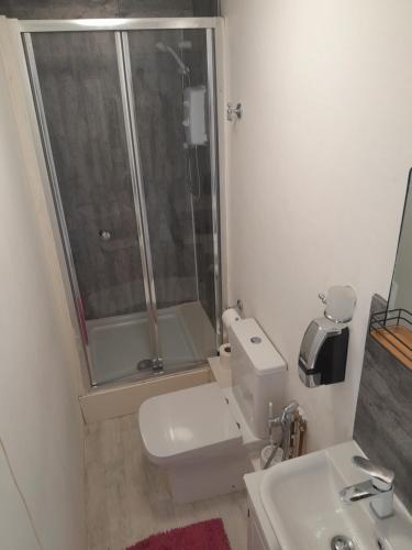 a bathroom with a shower and a toilet and a sink at Ensuite room near Singleton Hospital, beach 8 in Sketty