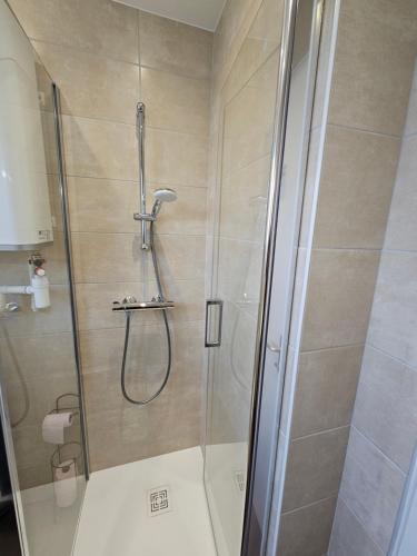 une douche avec une porte vitrée dans une salle de bain dans l'établissement Le nid des cigognes à Colmar centre, proche gare, marchés de Noël, à Colmar