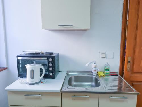 a kitchen counter with a sink and a microwave at Zlatni Pir Rooms and Apartments in Sarajevo