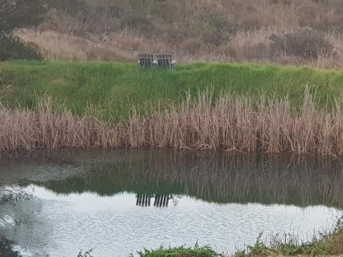 une masse d'eau à côté d'un champ avec de l'herbe dans l'établissement Little Fields Country House and Cottages, à Howick