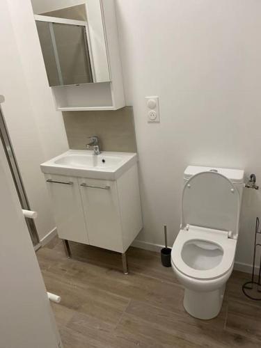 une salle de bain avec des toilettes blanches et un lavabo dans l'établissement Roubaix centre bel appartement de type 2, à Roubaix