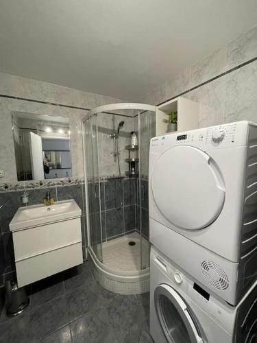 une salle de bain avec douche et lavabo dans l'établissement Grand meublé touristique centre-ville Béziers, à Béziers
